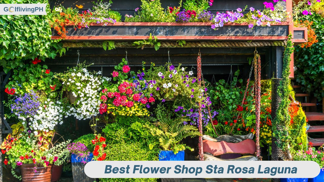 4 Best Flower Shop Sta Rosa Laguna [Update 2024]