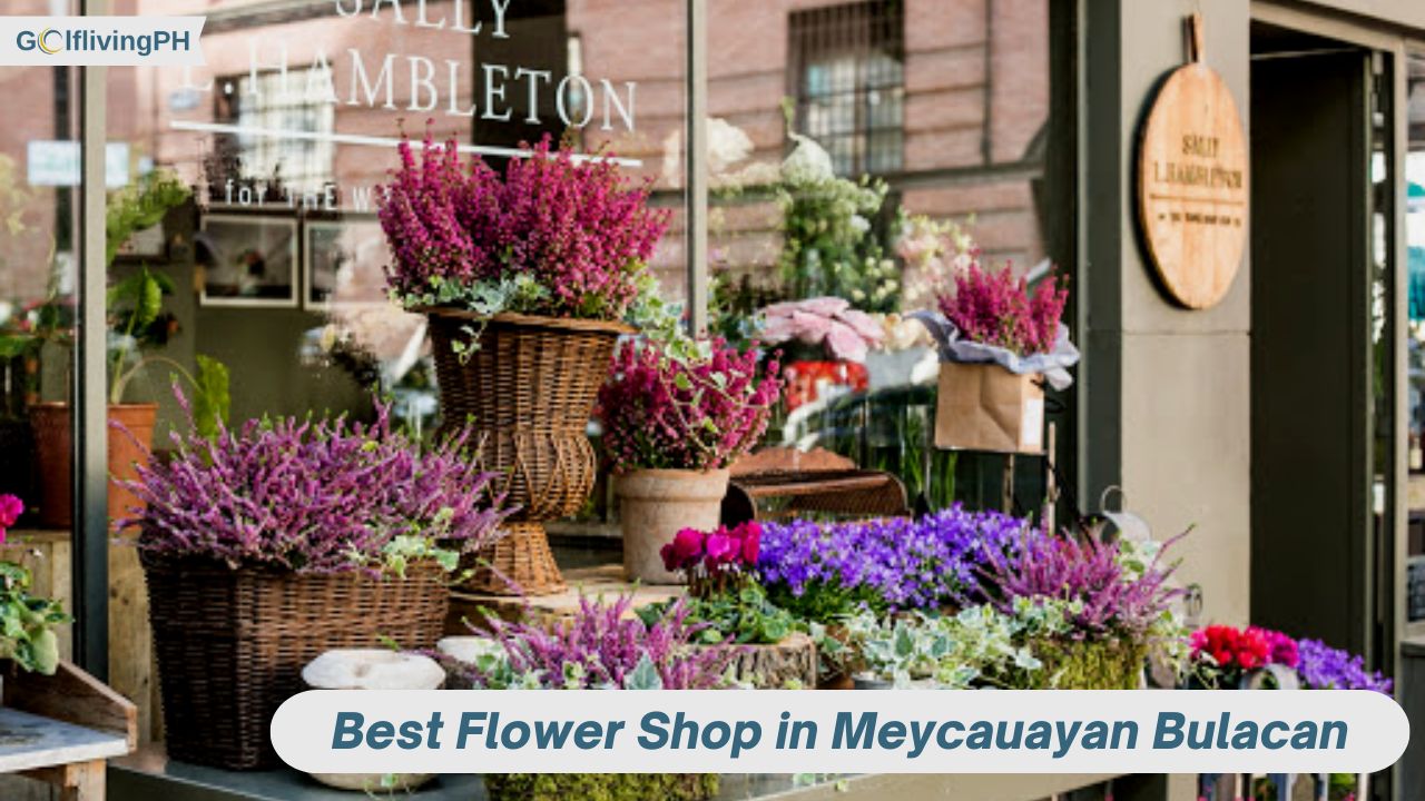 √ 5 Best Flower Shop in Meycauayan Bulacan [Update 2024]