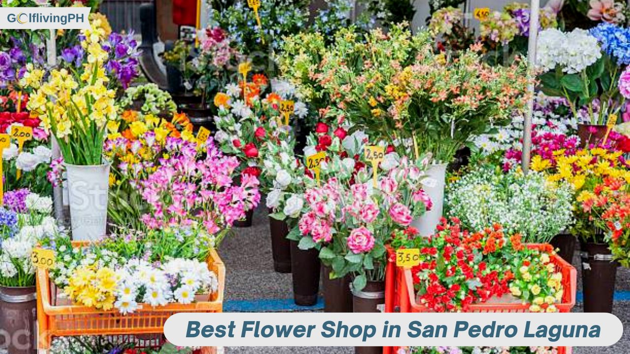 5 Best Flower Shop in San Pedro Laguna [Update 2024]